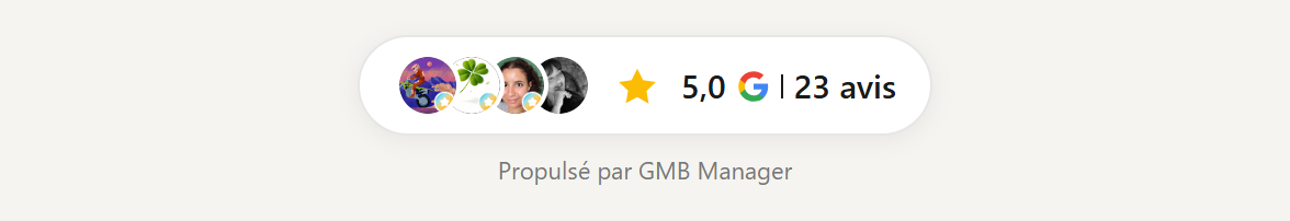 Widget badge compact avec le logo G à la place du mot Google, plus court.